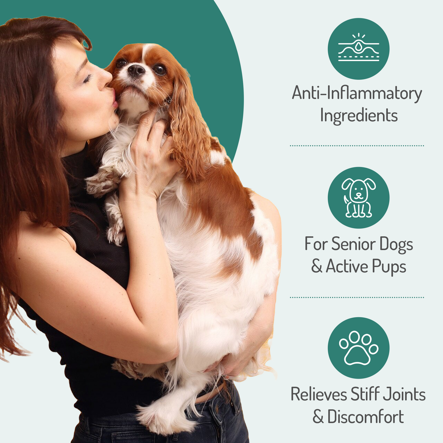 PureBlend Hip and Joint Chews for Dogs