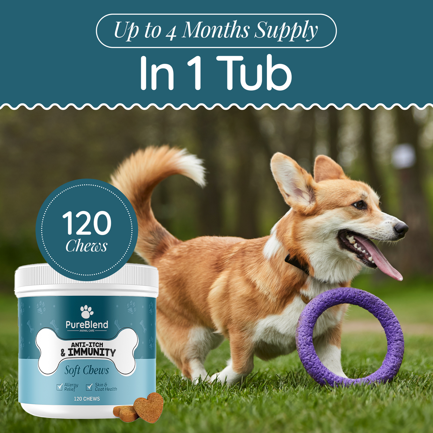 PureBlend Anti-Itch & Immunity Chews for Dogs