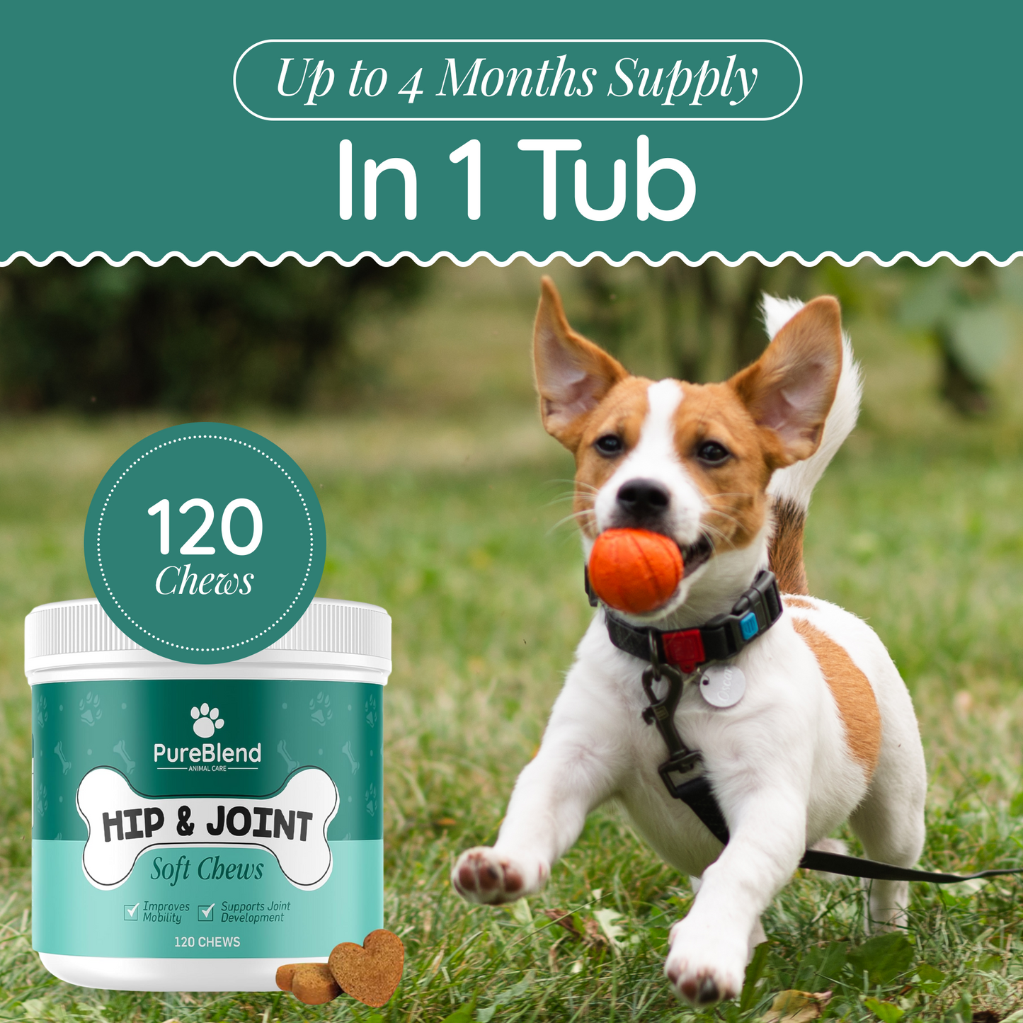 PureBlend Hip and Joint Chews for Dogs