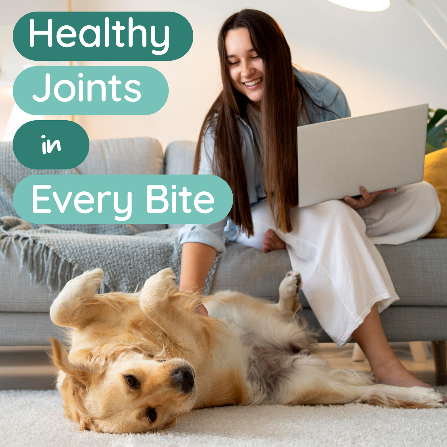 PureBlend Hip and Joint Chews for Dogs