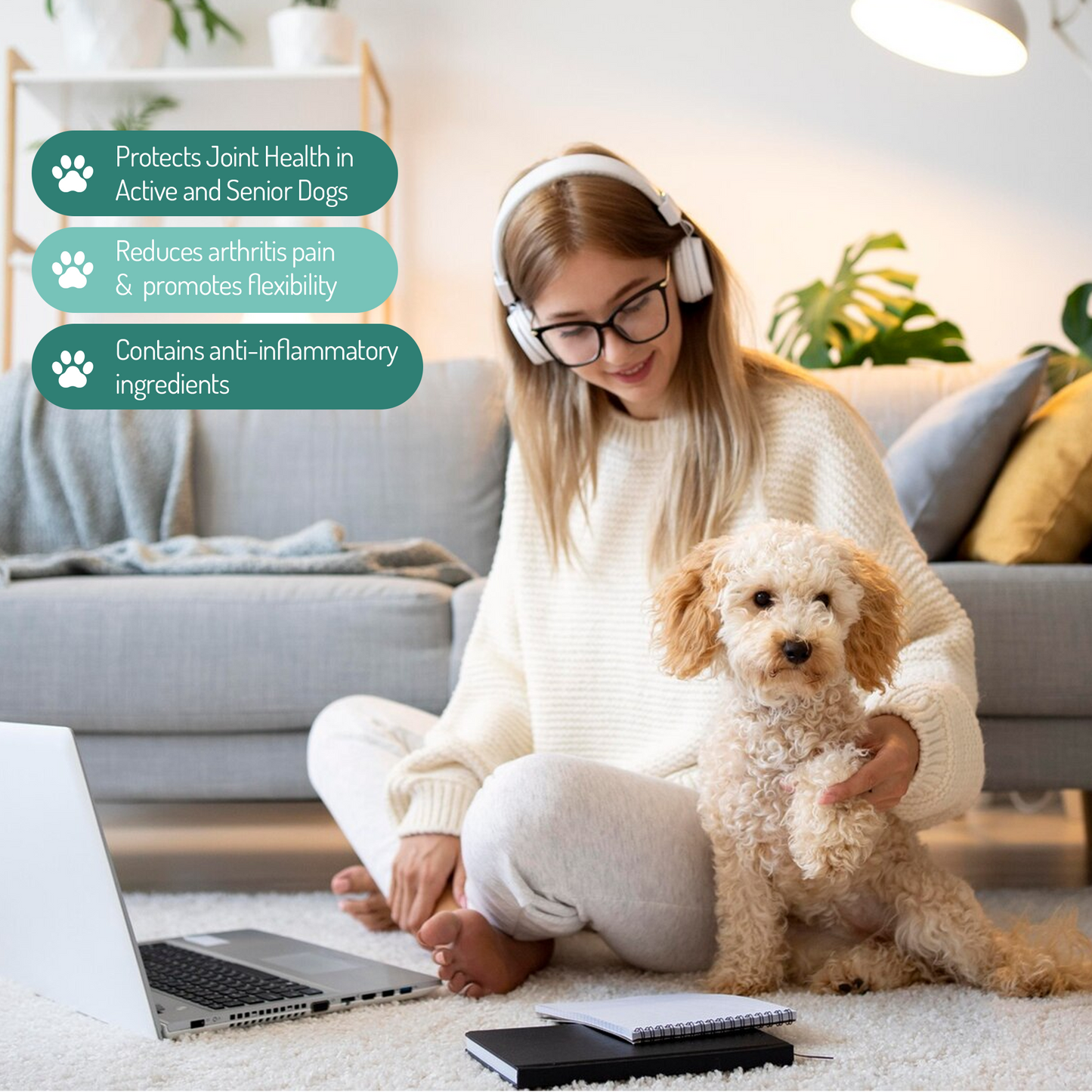 PureBlend Hip and Joint Chews for Dogs