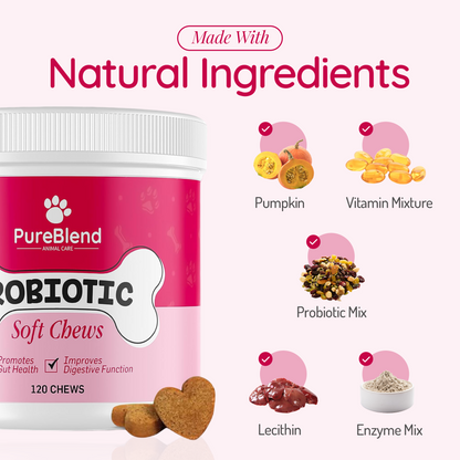 PureBlend Probiotic Chews for Dogs