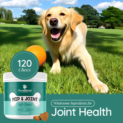 PureBlend Hip and Joint Chews for Dogs