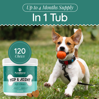 PureBlend Hip and Joint Chews for Dogs
