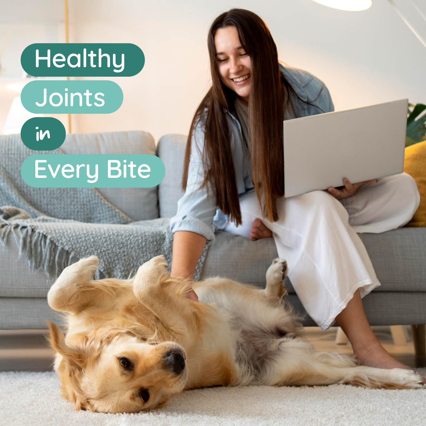 PureBlend Hip and Joint Chews for Dogs