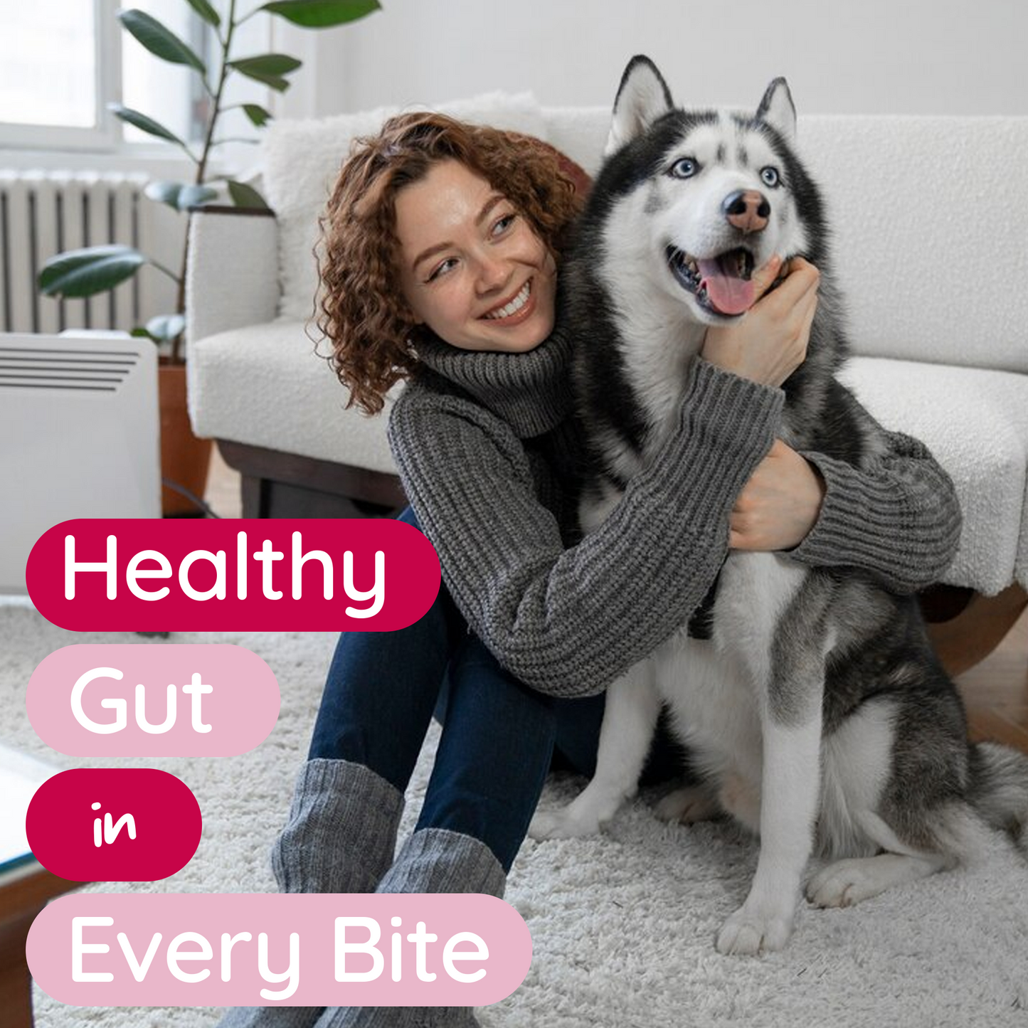 PureBlend Probiotic Chews for Dogs