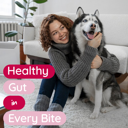 PureBlend Probiotic Chews for Dogs