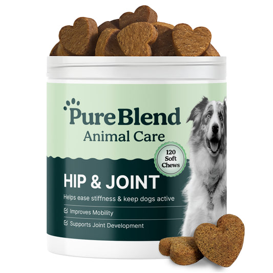 PureBlend Hip and Joint Chews for Dogs