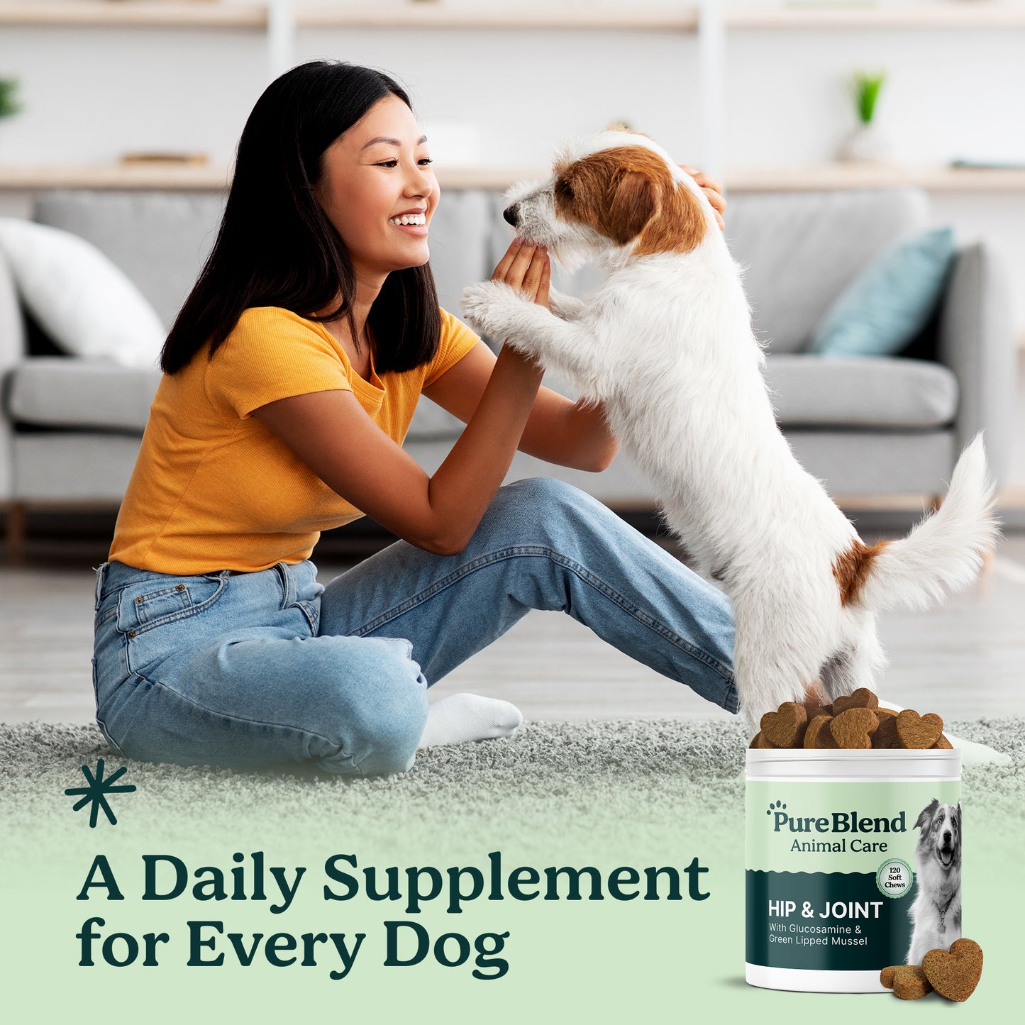 PureBlend Hip and Joint Chews for Dogs