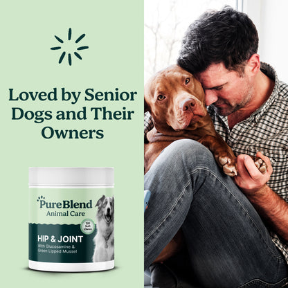 PureBlend Hip and Joint Chews for Dogs