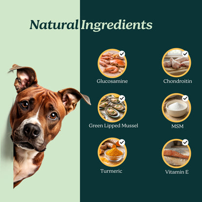 PureBlend Hip and Joint Chews for Dogs