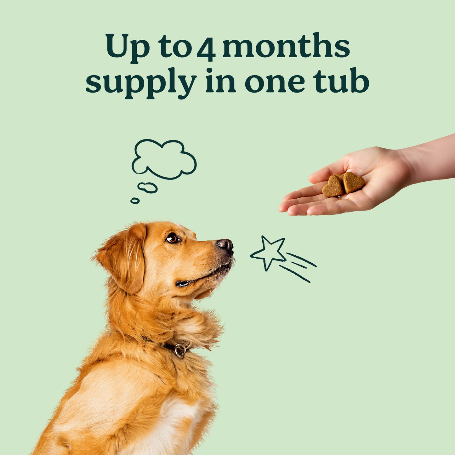 PureBlend Hip and Joint Chews for Dogs