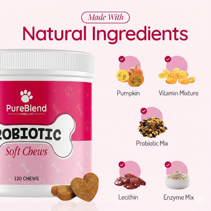 PureBlend Probiotic Chews for Dogs