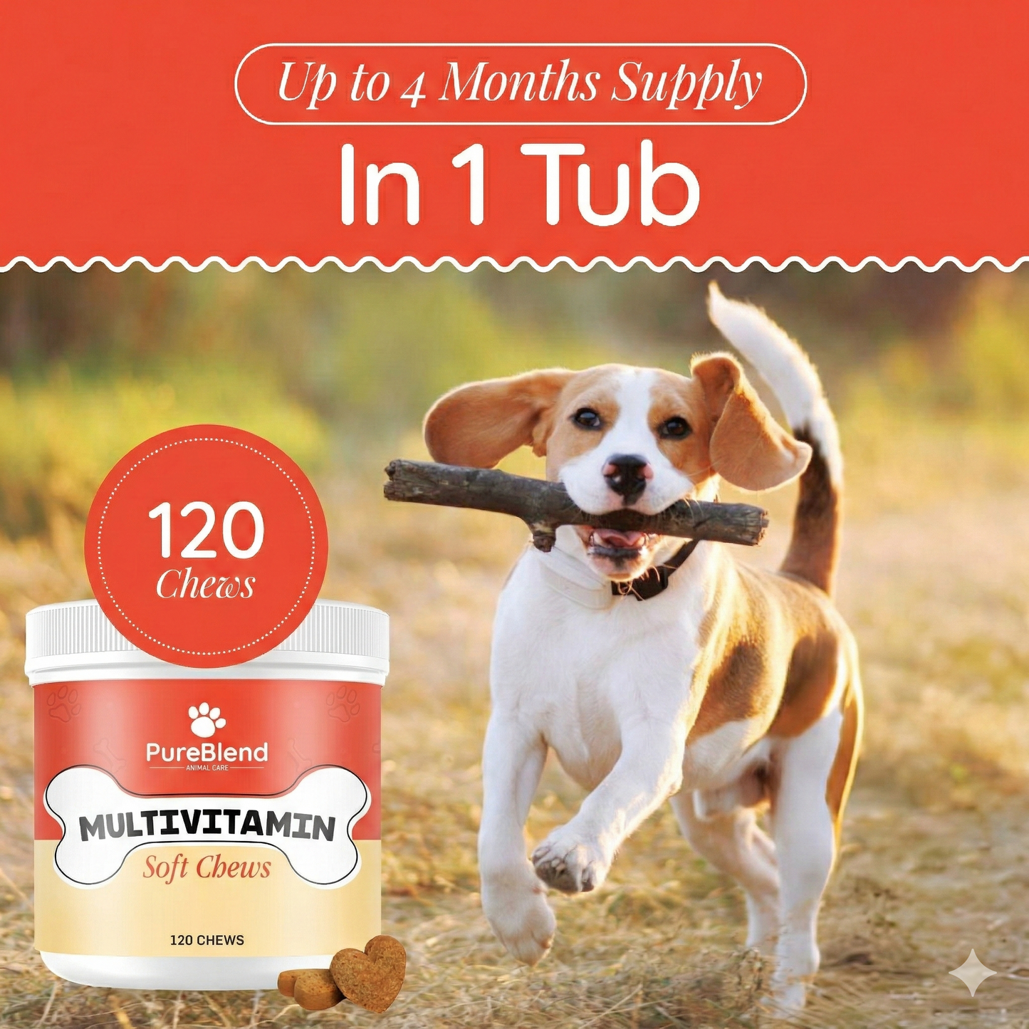 PureBlend Multivitamin Soft Chews for Dogs