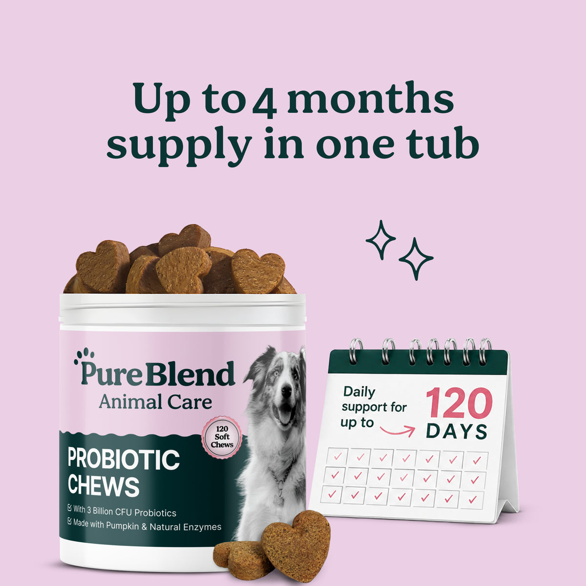 PureBlend Probiotic Chews for Dogs