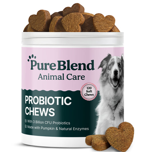 PureBlend Probiotic Chews for Dogs