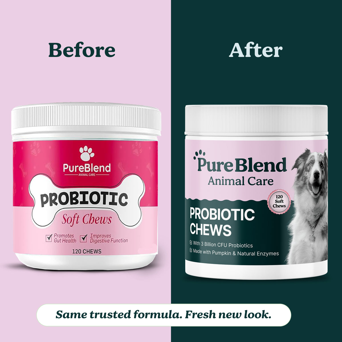PureBlend Probiotic Chews for Dogs