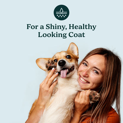 PureBlend Skin & Coat Chews for Dogs