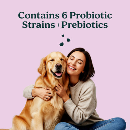 PureBlend Probiotic Chews for Dogs