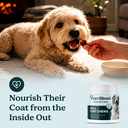 PureBlend Skin & Coat Chews for Dogs