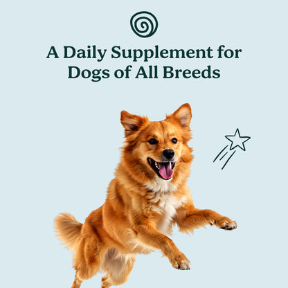 PureBlend Skin & Coat Chews for Dogs