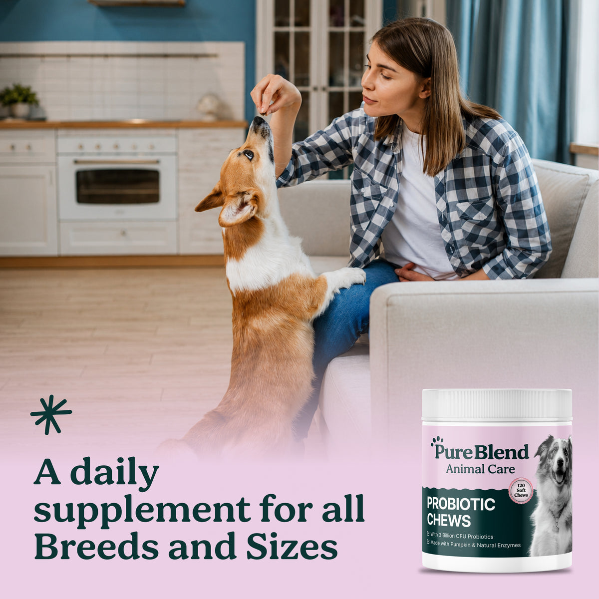 PureBlend Probiotic Chews for Dogs