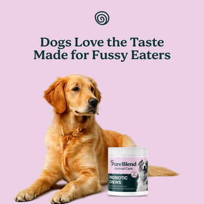 PureBlend Probiotic Chews for Dogs