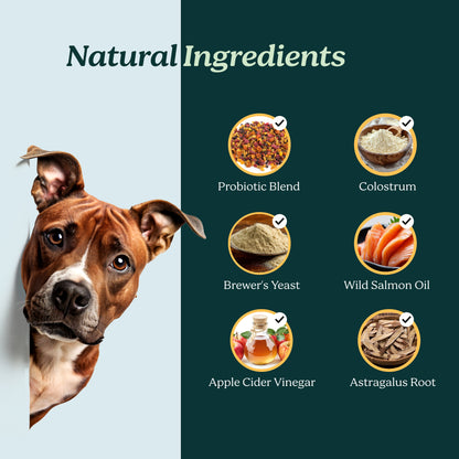 PureBlend Skin & Coat Chews for Dogs