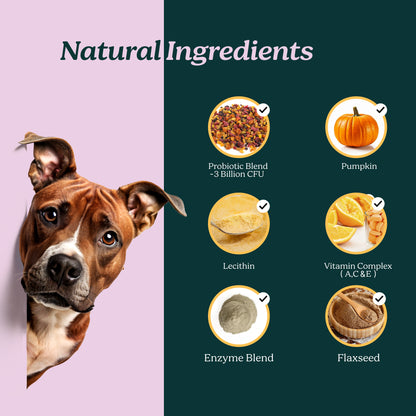 PureBlend Probiotic Chews for Dogs