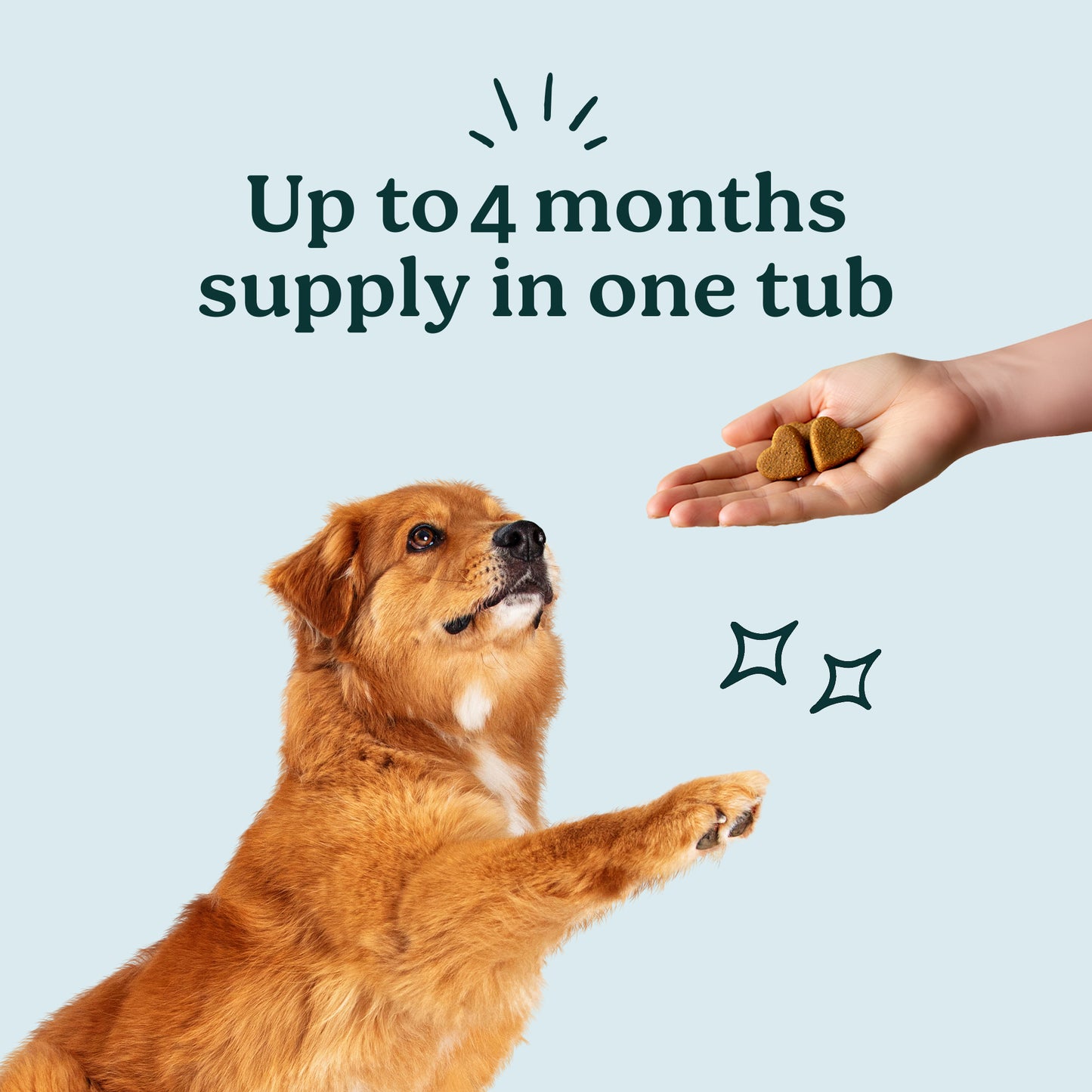 PureBlend Skin & Coat Chews for Dogs
